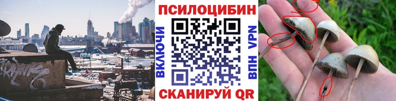 Псилоцибиновые грибы мицелий магазин продажи Саратов